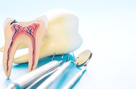 tooth cross-section